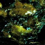 Image: Fifth image from the photoset 'dublin (x)'.