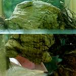 Image: First image from the photoset 'dublin (xi)'.