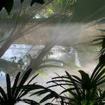 Image: Second image from the photoset 'dublin (xi)'.