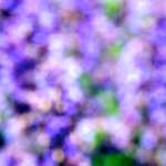 Image: Third image from the photoset 'dublin (xi)'.