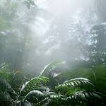 Image: Fifth image from the photoset 'dublin (xi)'.