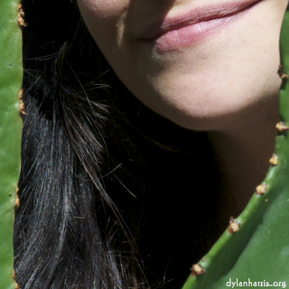 image: This is ‘
poets (i) 4
’.