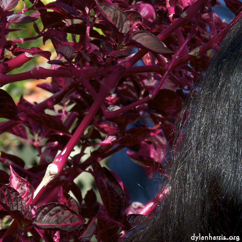 image: This is ‘
poets (i) 6
’.