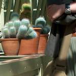 image: Image from the photoset ‘
poets (i)
’.