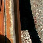 image: Image from the photoset ‘
poets (i)
’.