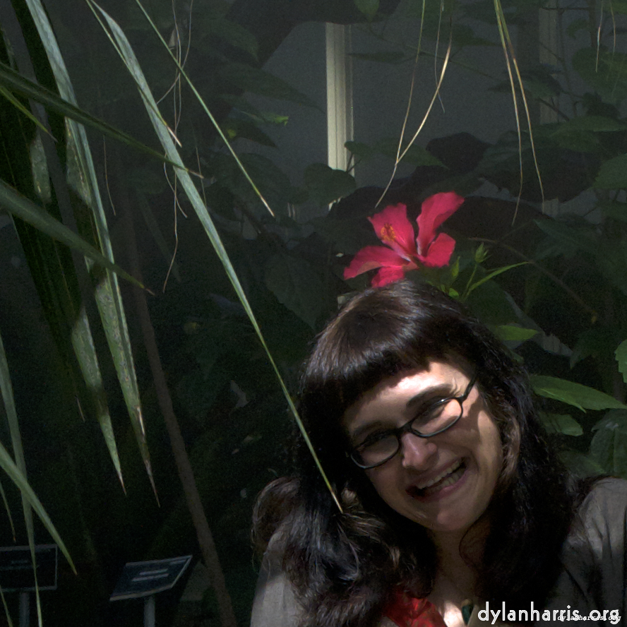 Image: Image 'poets (ii) 5'.