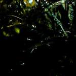 Second image from the photoset 'poets (ii)'.