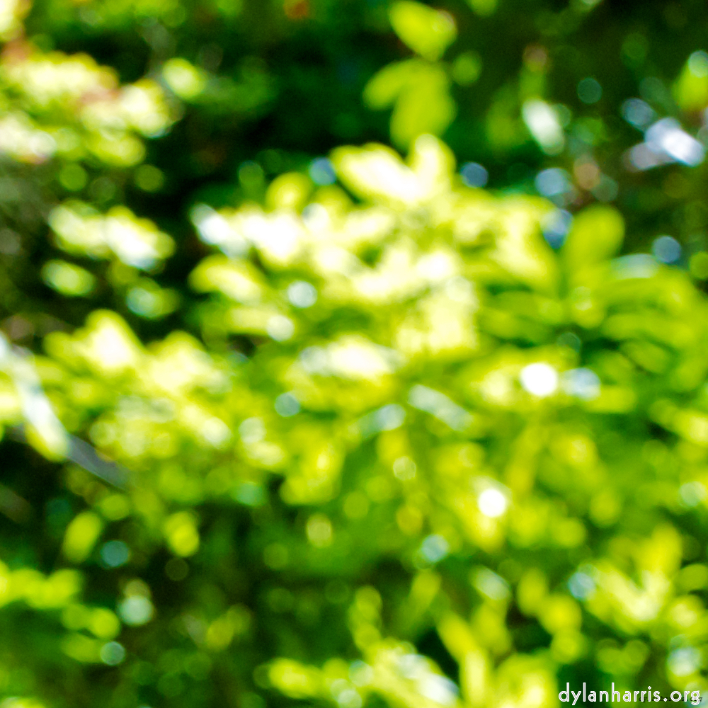 Image: Image 'dublin (xii) 3'.