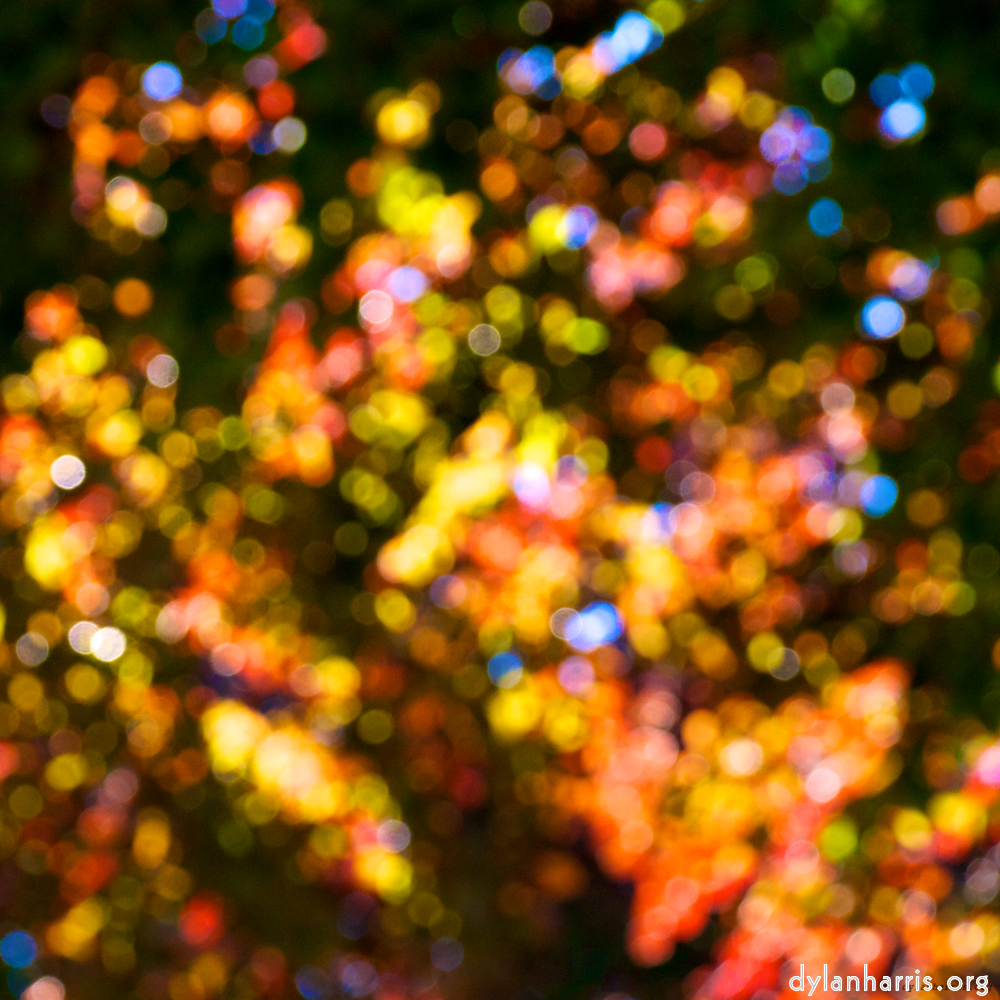 Image: Image 'dublin (xii) 4'.