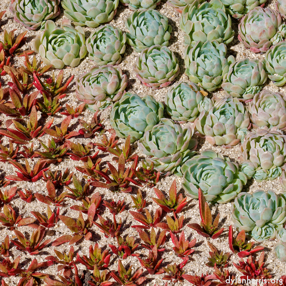 Image: Image 'dublin (xii) 5'.