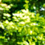 Image: Third image from the photoset 'dublin (xii)'.