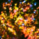 Image: Fourth image from the photoset 'dublin (xii)'.