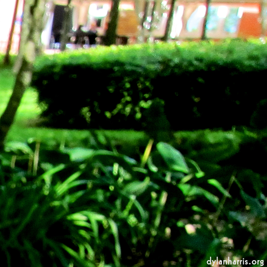 Image: Image 'parc (xx) 2'.