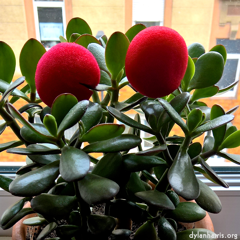 image: This is ‘
escher blummen (cxxxix) 1
’.