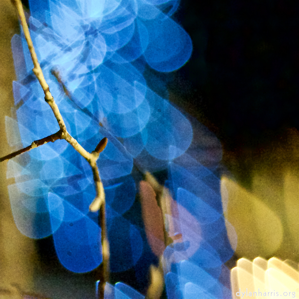 image: Image 'esch–sur–alzette (xxxi) 2', at Escher Déierepark, head and torso of a doe.