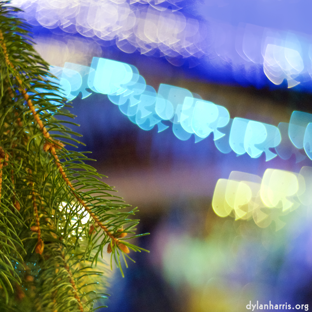 image: Image 'esch–sur–alzette (xxxi) 7', at Escher Déierepark, the snout of a highland bull.