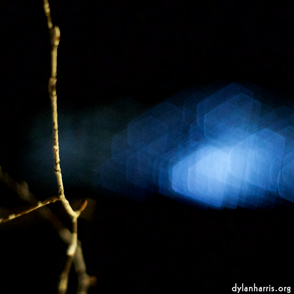 image: Image 'esch–sur–alzette (xxxi) 8', at Escher Déierepark, a does comes to see if I’ve a treat, while behind her others are fed. This is one of the series composed to hint there’s more to a photo than what’s seen.