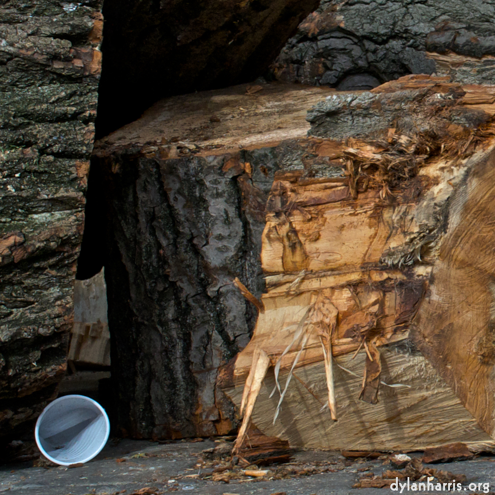 Image: Image 'paris (ii) 1'.