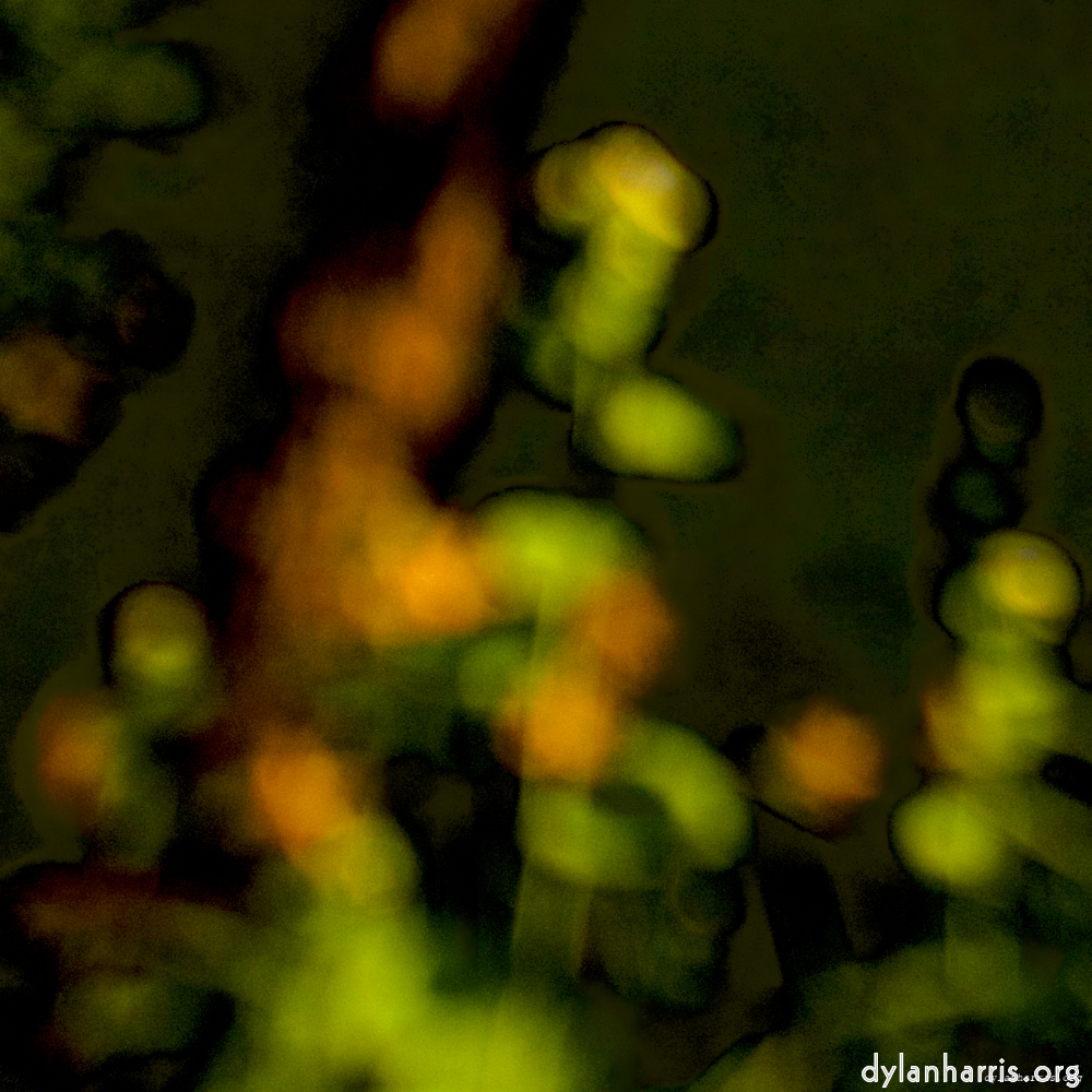 image: This is ‘
parc (xxvi) 1
’.