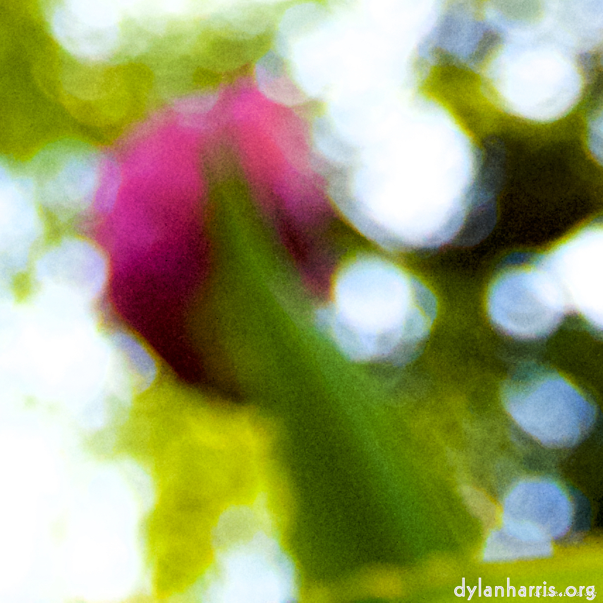 image: This is ‘
parc (xxvi) 2
’.