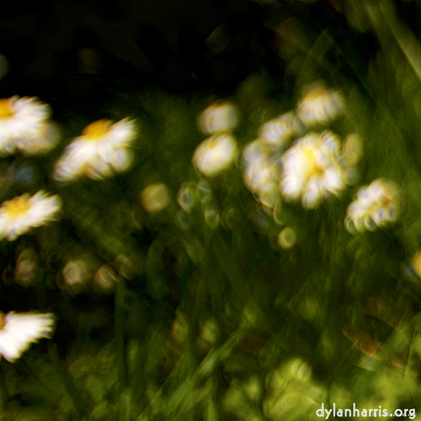 image: This is ‘
parc (xxvi) 3
’.