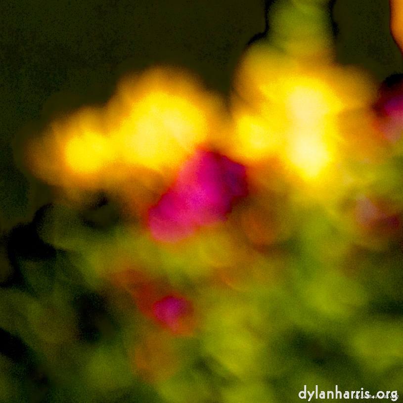 image: This is ‘
parc (xxvi) 5
’.