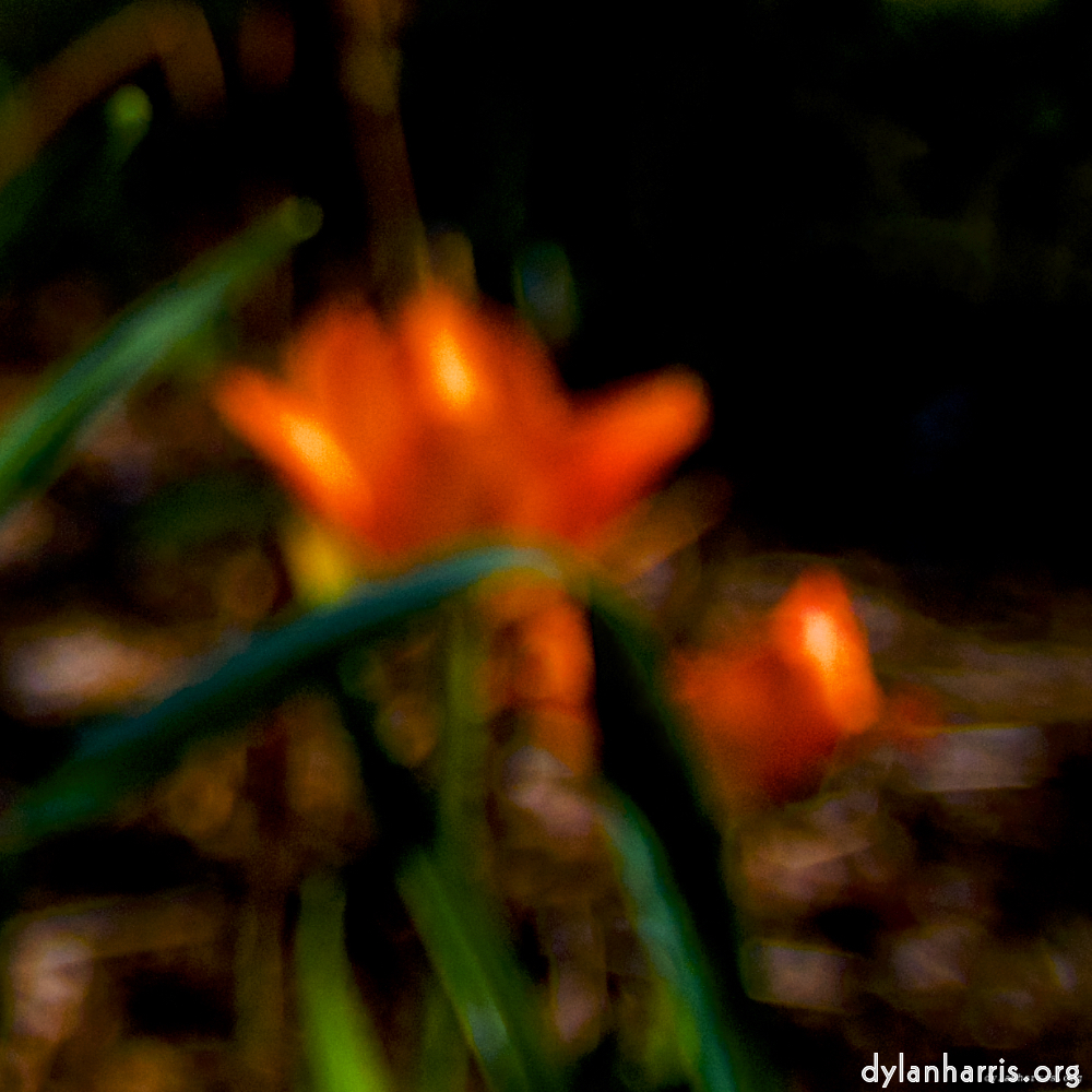 Image: Image 'parc (xxvii) 3'.