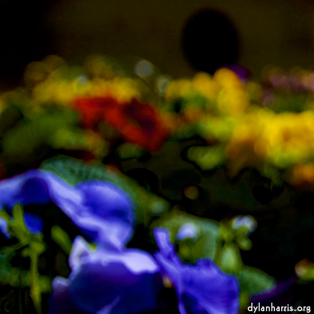 Image: Image 'parc (xxvii) 4'.