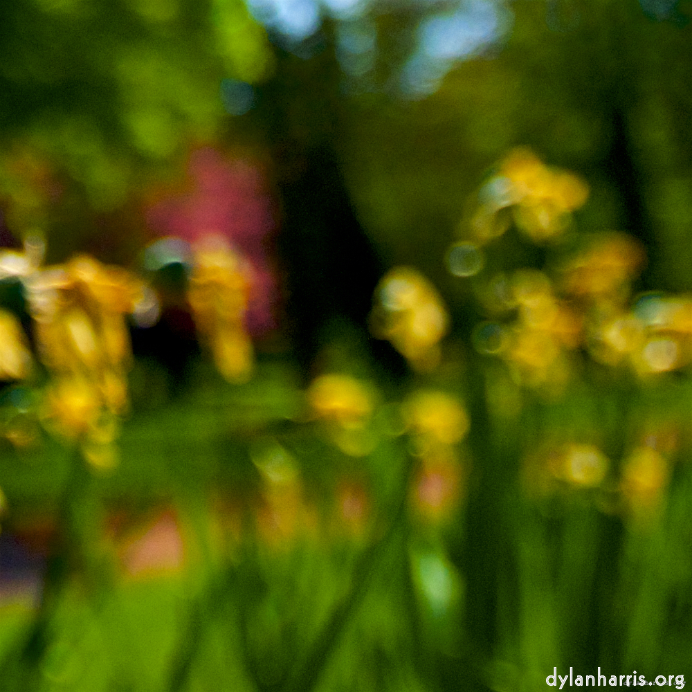 Image: Image 'parc (xxviii) 1'.