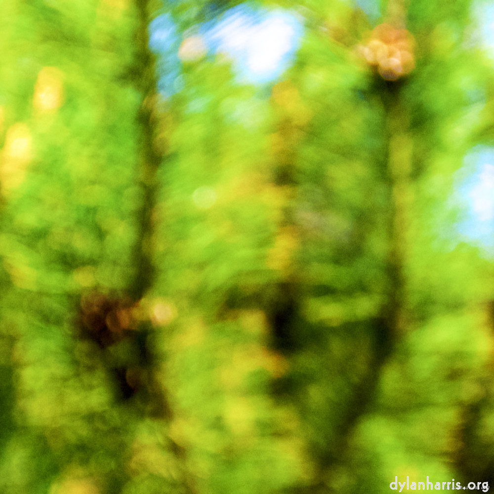 Image: Image 'parc (xxviii) 2'.