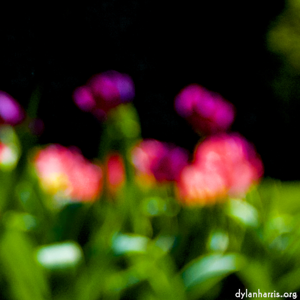 Image: Image 'parc (xxviii) 3'.