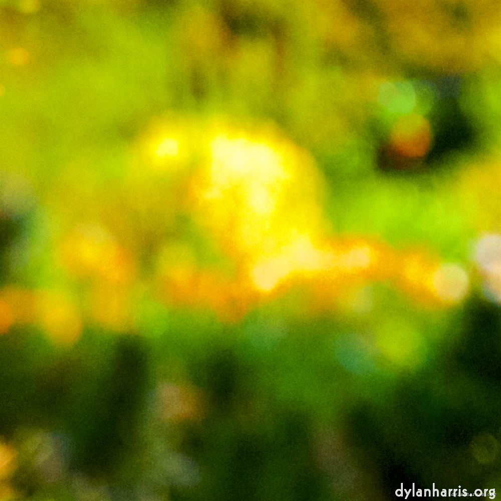 Image: Image 'parc (xxviii) 4'.