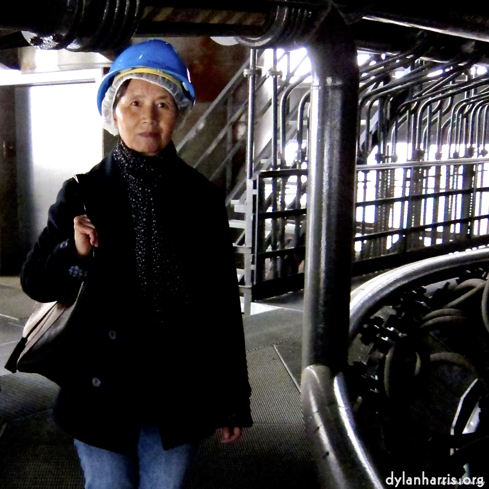 Image: Image 'L (iv) 3'.