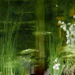 image: Image from the photoset ‘
haut fourneau (iii)
’.