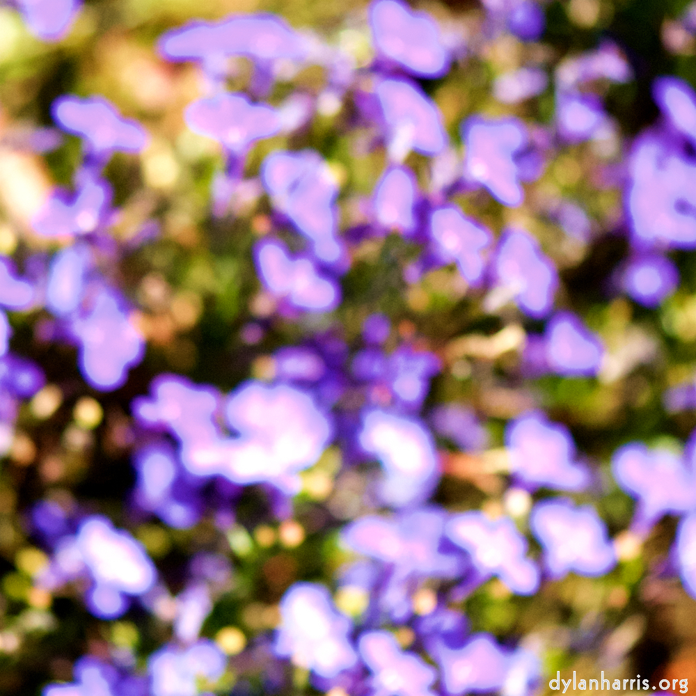 image: This is ‘
parc (xxxviii) 1
’.