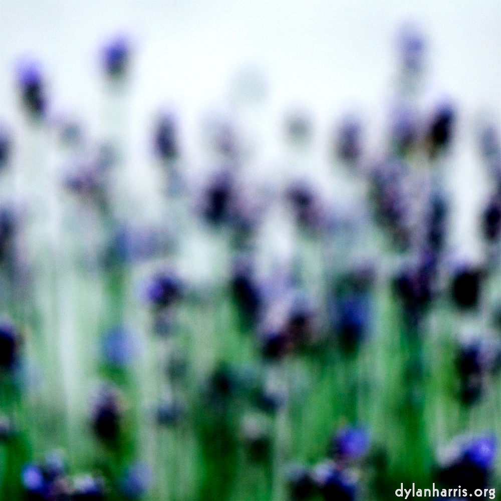 image: This is ‘
parc (xxxviii) 3
’.