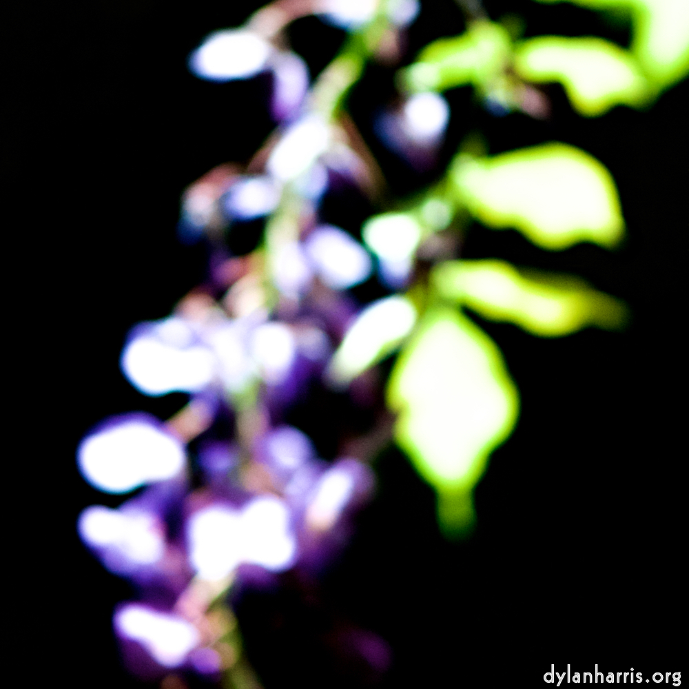 image: This is ‘
parc (xxxviii) 4
’.