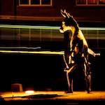 Image: Fourth image from the photoset 'gouda (i)'.