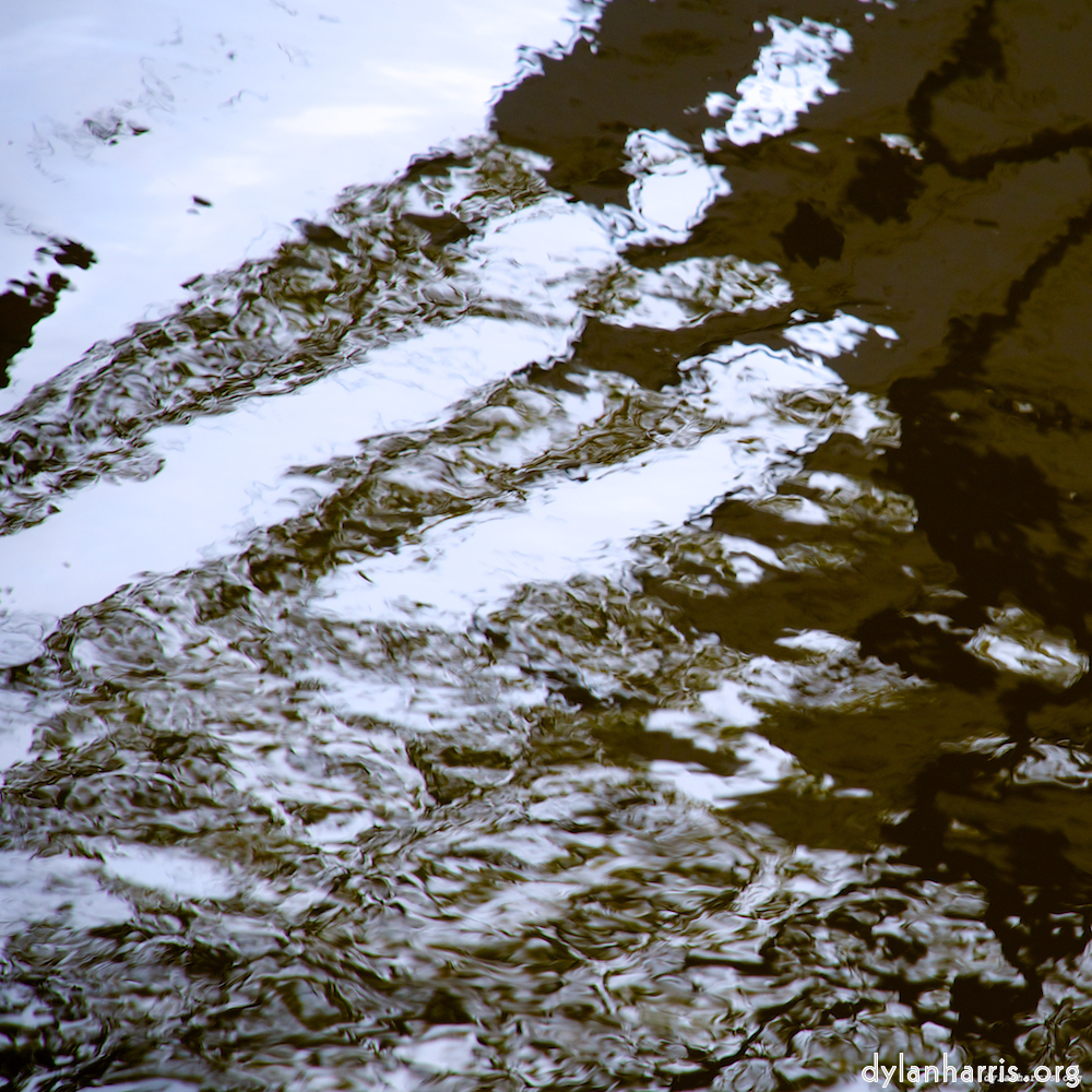 Image 'gouda (iii) 4'.