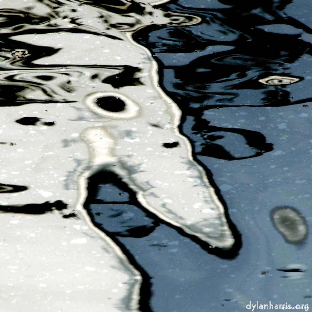 Image 'gouda (iii) 5'.