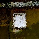 First image from the photoset 'gouda (iii)'.