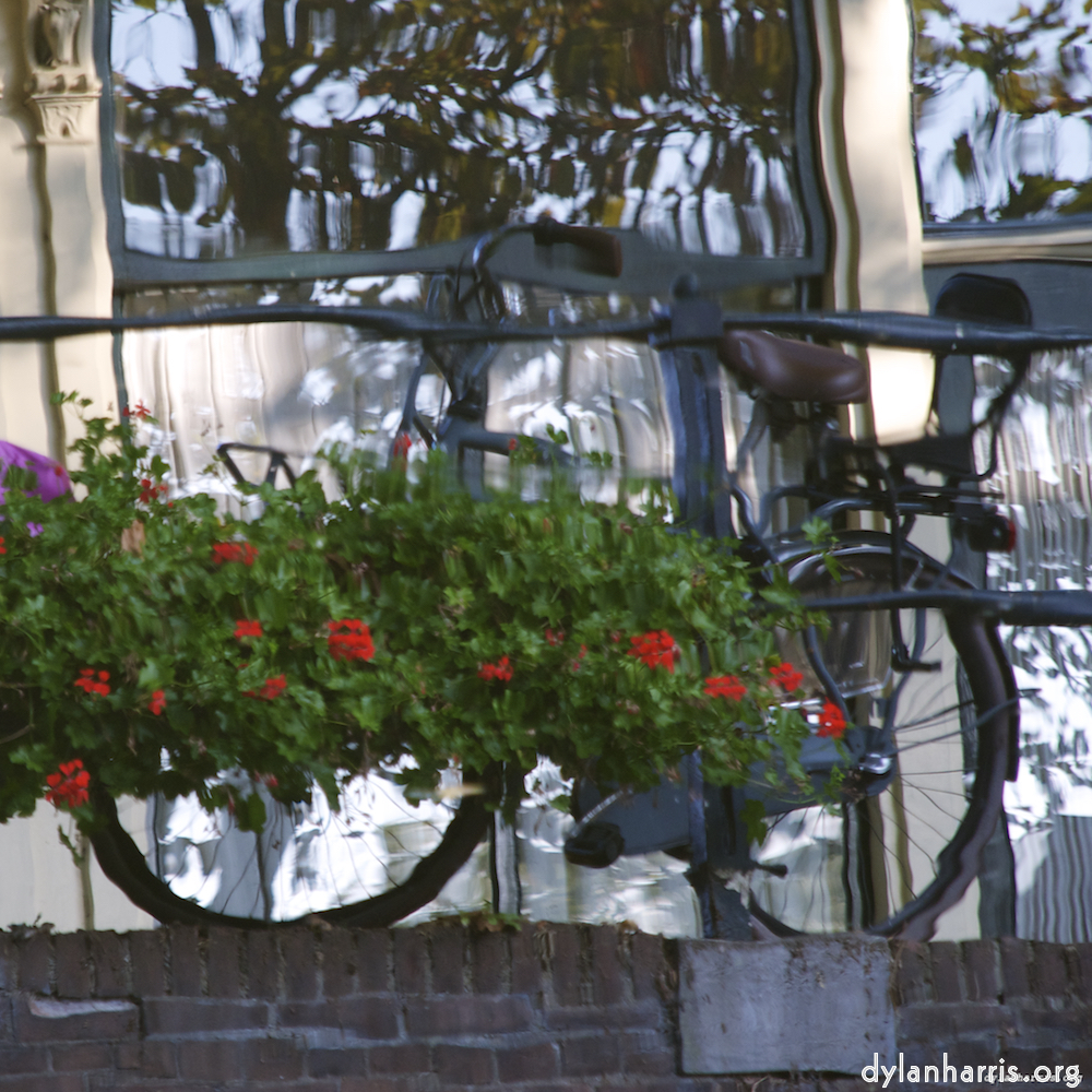 Image: Image 'gouda (iv) 2'.