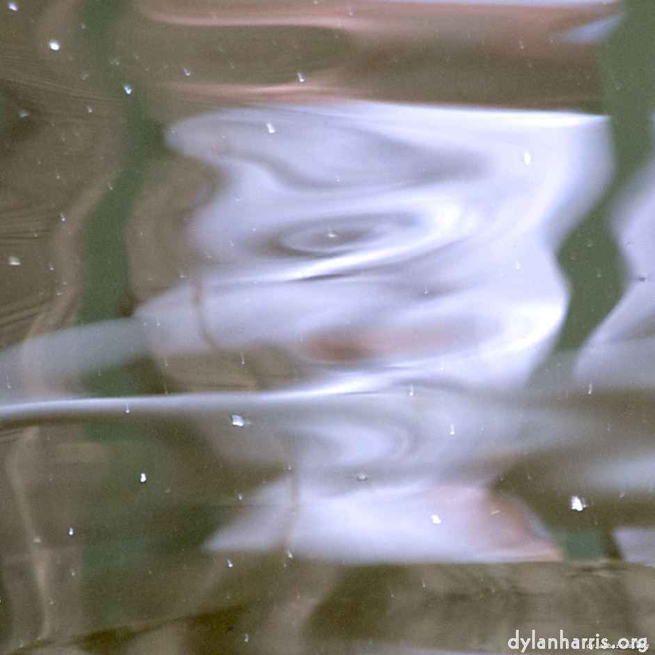 Image: Image 'gouda (iv) 3'.