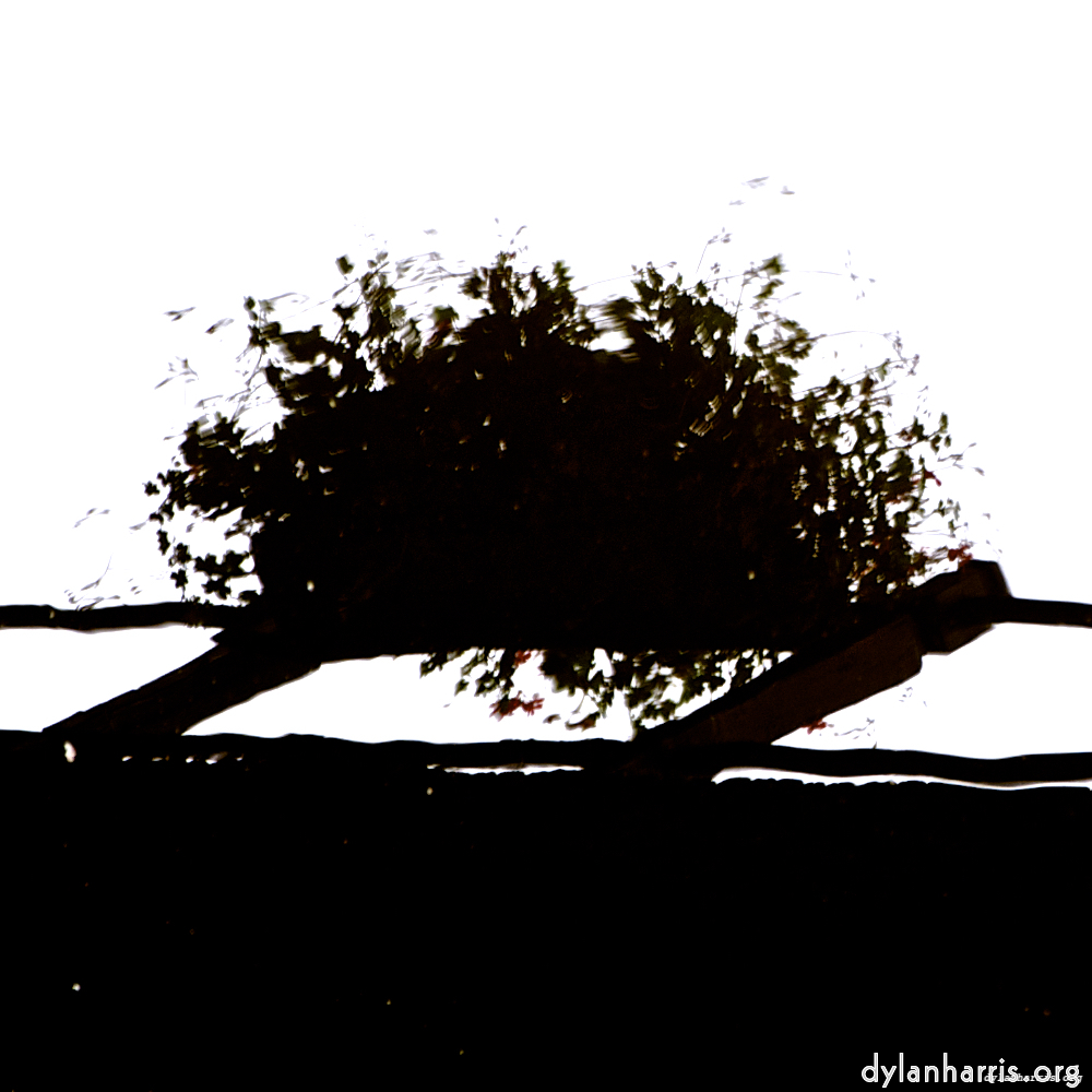 Image 'gouda (iv) 4'.