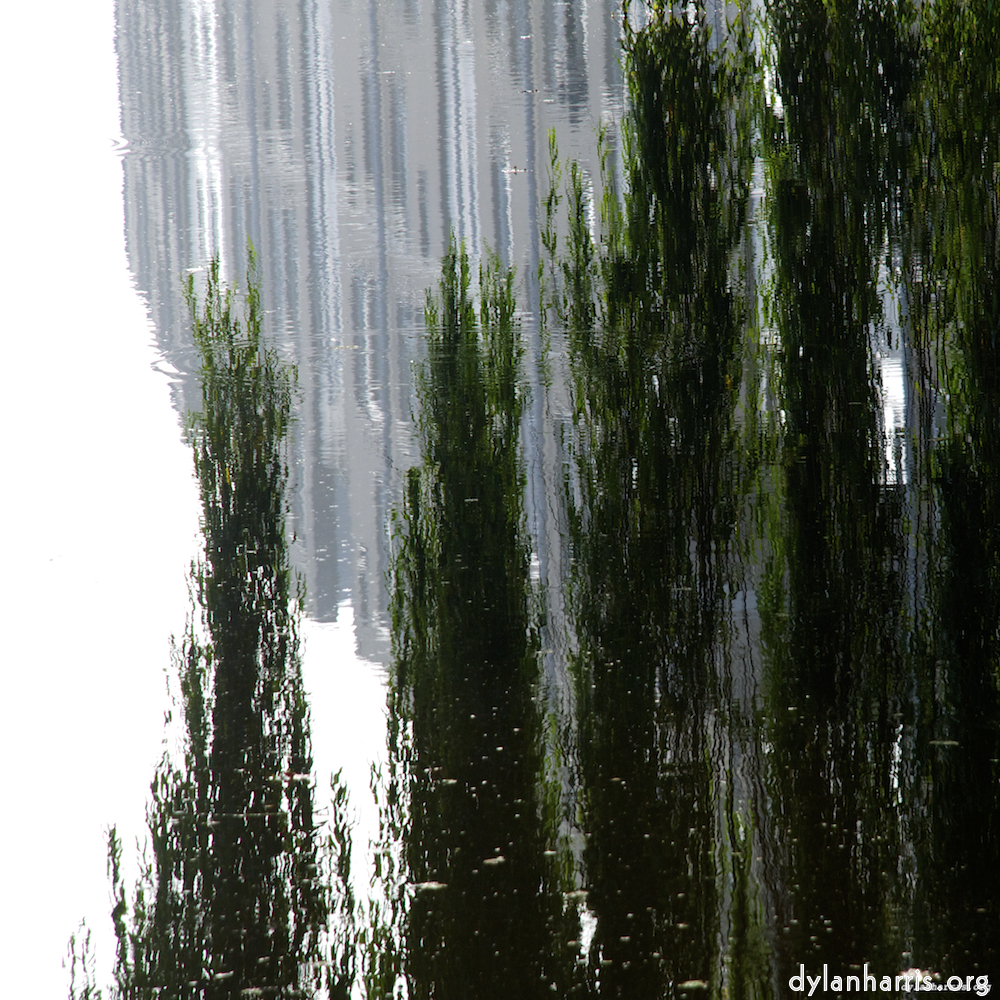 Image 'gouda (iv) 5'.