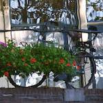 Second image from the photoset 'gouda (iv)'.