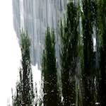 Fifth image from the photoset 'gouda (iv)'.