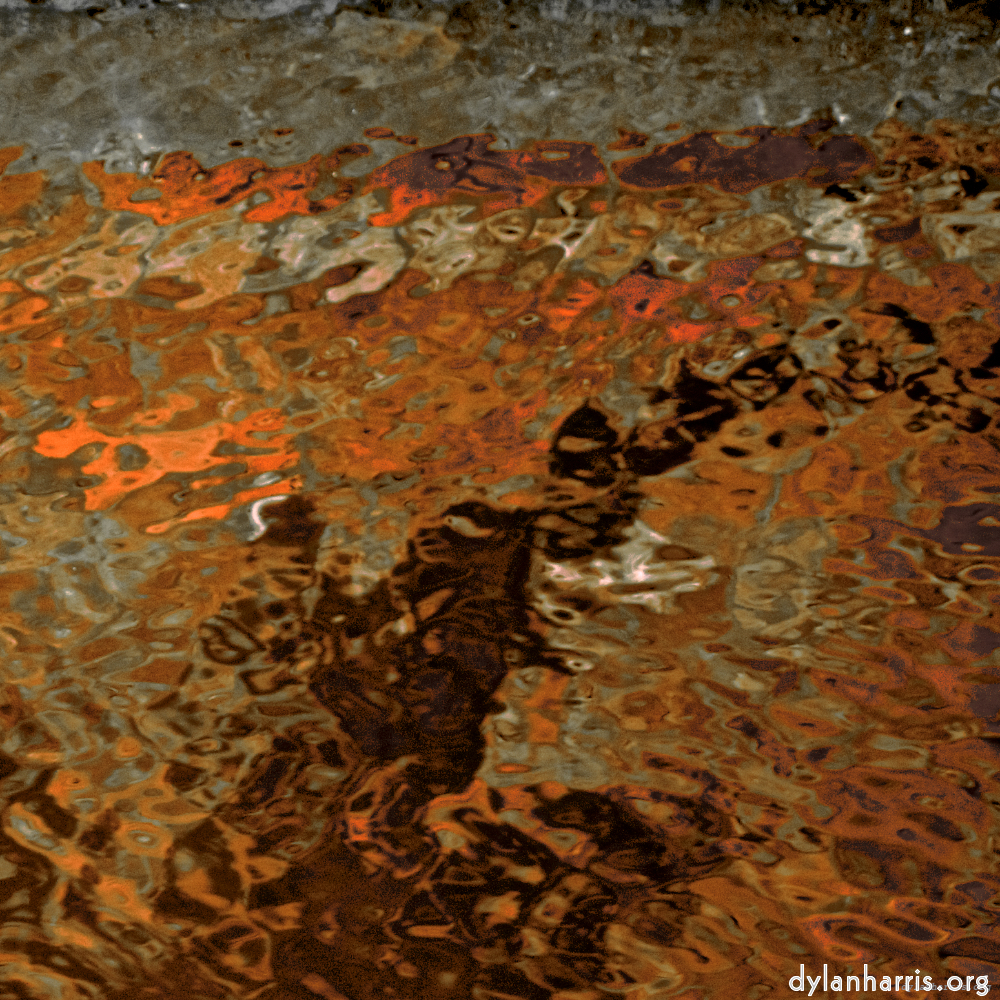 Image: Image 'gouda (v) 1'.