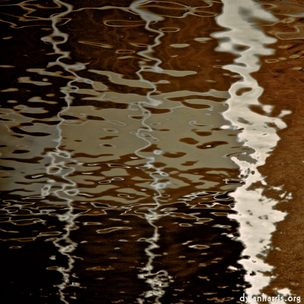 Image: Image 'gouda (v) 2'.