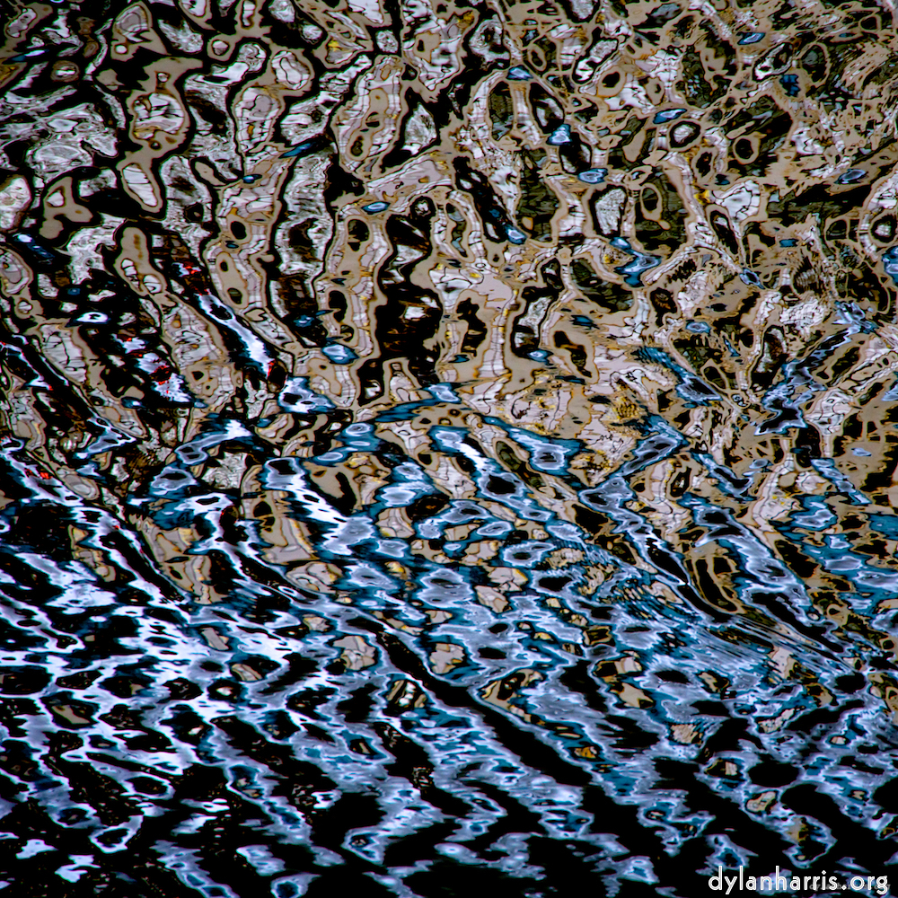 Image: Image 'gouda (v) 4'.